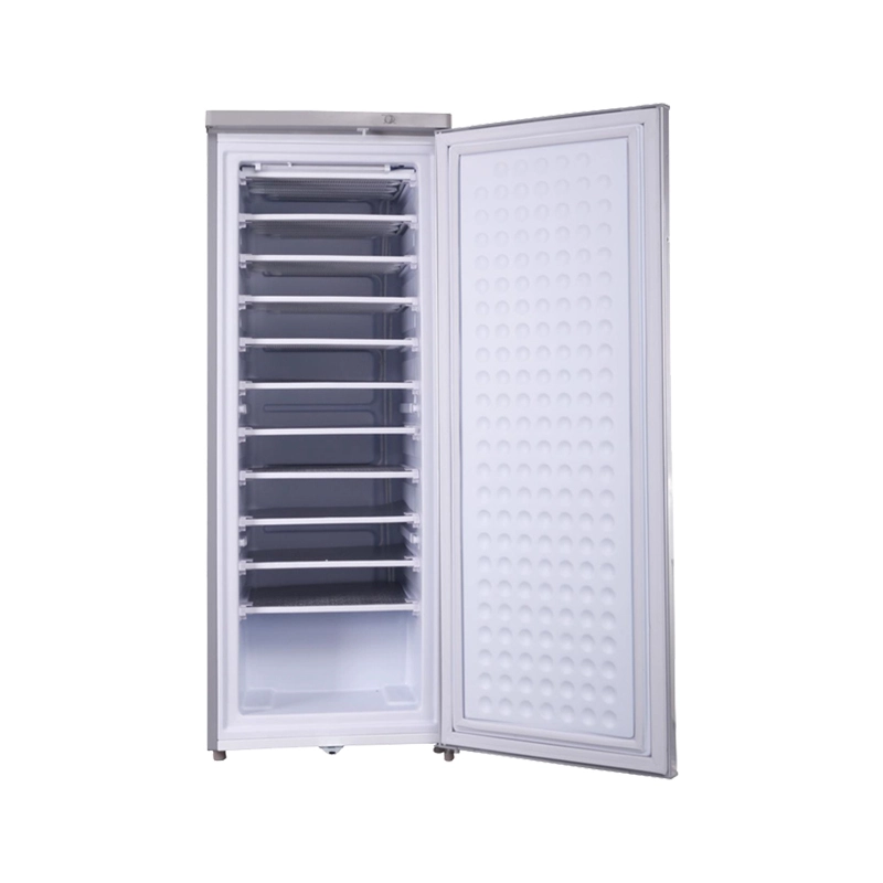 AC DC Solar Fridge Solar Freezer Solar Power 12V 24V To 220V