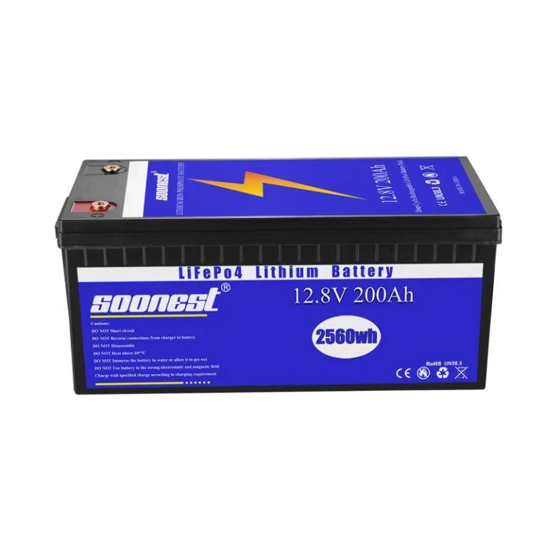 SOONEST Batterie solaire à cycle profond LiFePO4